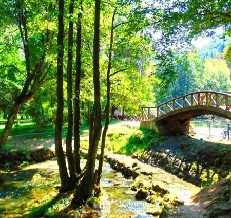 Apartment Apartman Stari Grad *